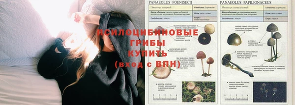 экстази Верея