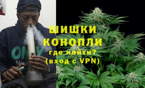 стаф Бронницы