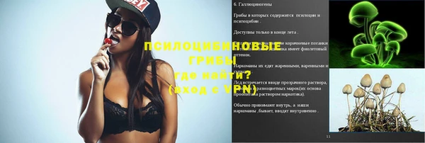 СК Бородино