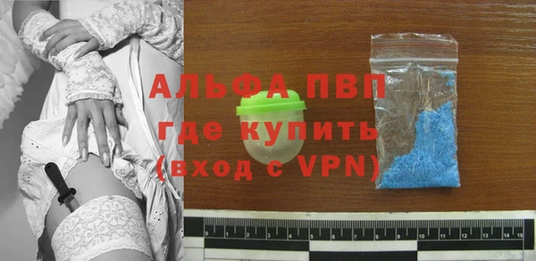 СК Бородино