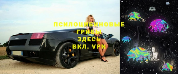 СК Бородино